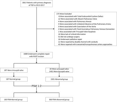 Association of Pulmonary Valve Morphology Differences With Outcomes in Tetralogy of Fallot Repair With Right Ventricular Outflow Tract Incision